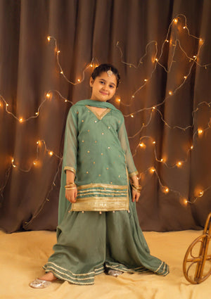 Pastel green Sharara for Girl