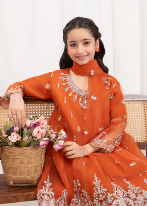 Rust orange Short Frock for Girl