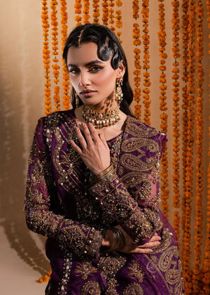 Purple Sharara for Women