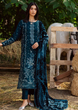 Blue Kurta Set for Women