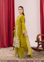 Apple green Kurta Set for Women