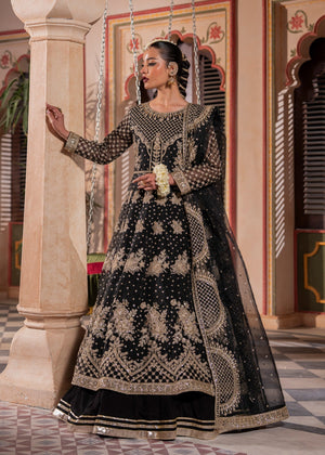 Black Lehenga for Women