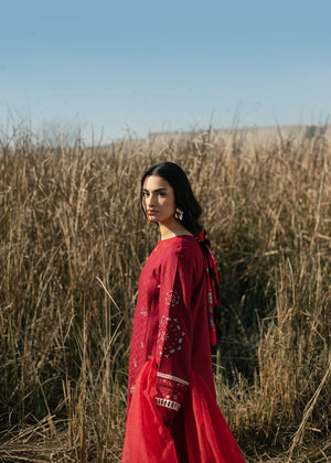 Carmine Kurta Set for Women