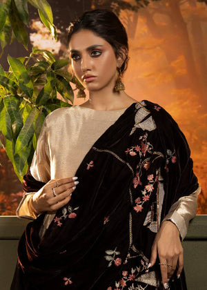 Brown Shawl for Women