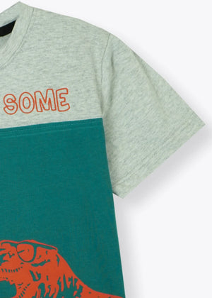 Sea green T Shirt for Boy