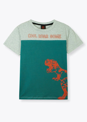 Sea green T Shirt for Boy