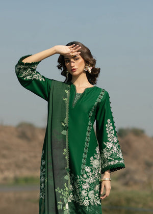 Dark green Kurta Set for Women