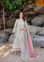 Pastel green Unstitched for Women