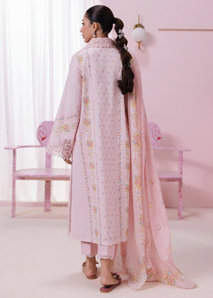 Pink Unstitched for Women
