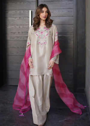 Grey Kurta Set for Women