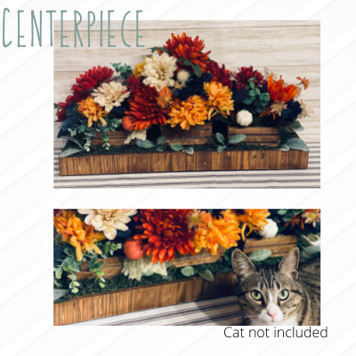 Centerpiece craft project, cat not included