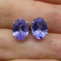 3.17 ct Tanzanite and 14kt White Gold Stud Earrings