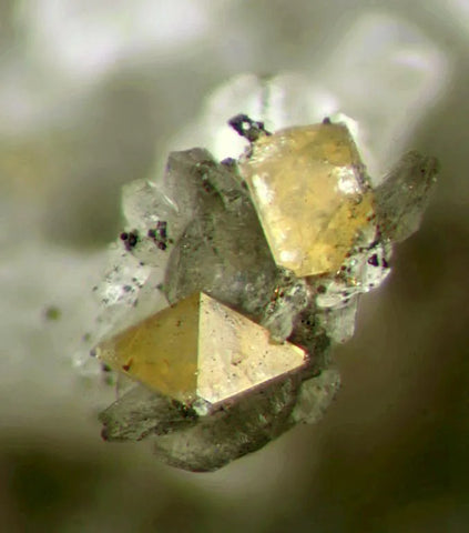 Yellow Zircon on Matrix from Poudrette quarry Mont Saint-Hilaire, Rouville RCM, Montérégie, Québec, Canada.