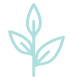 Plant graphic