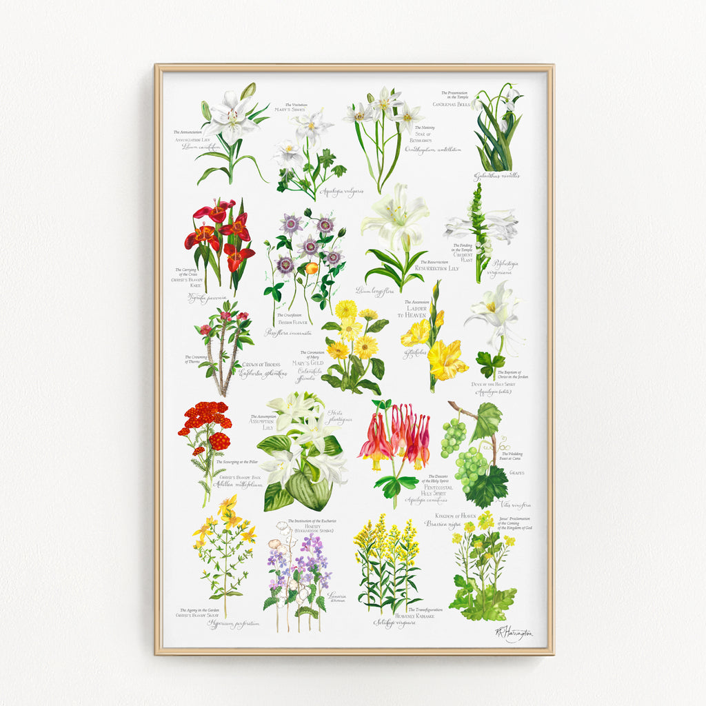 BOTANICAL ROSARY POSTER - COMPLETE – Rose Harrington