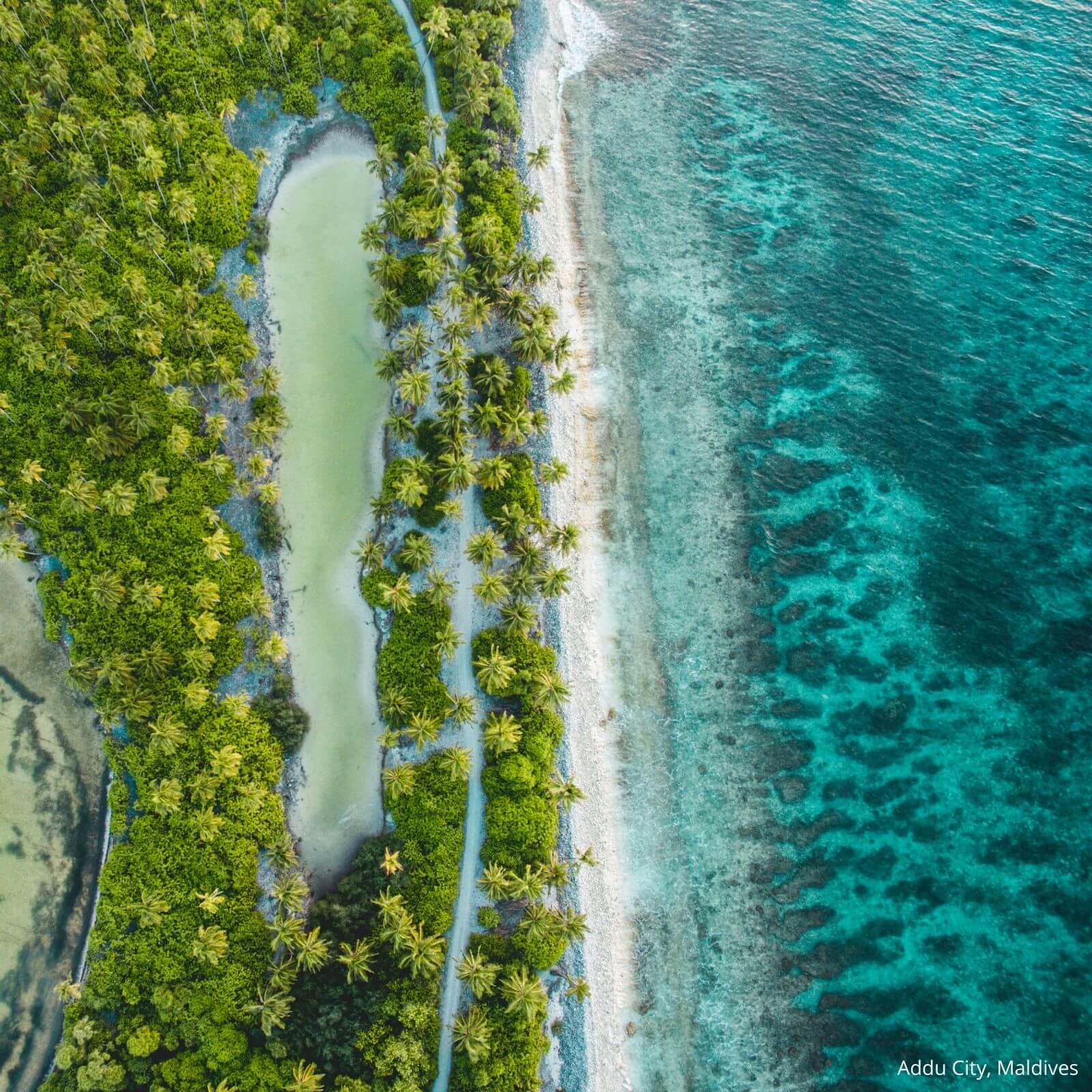 addu city maldives coral reef locations