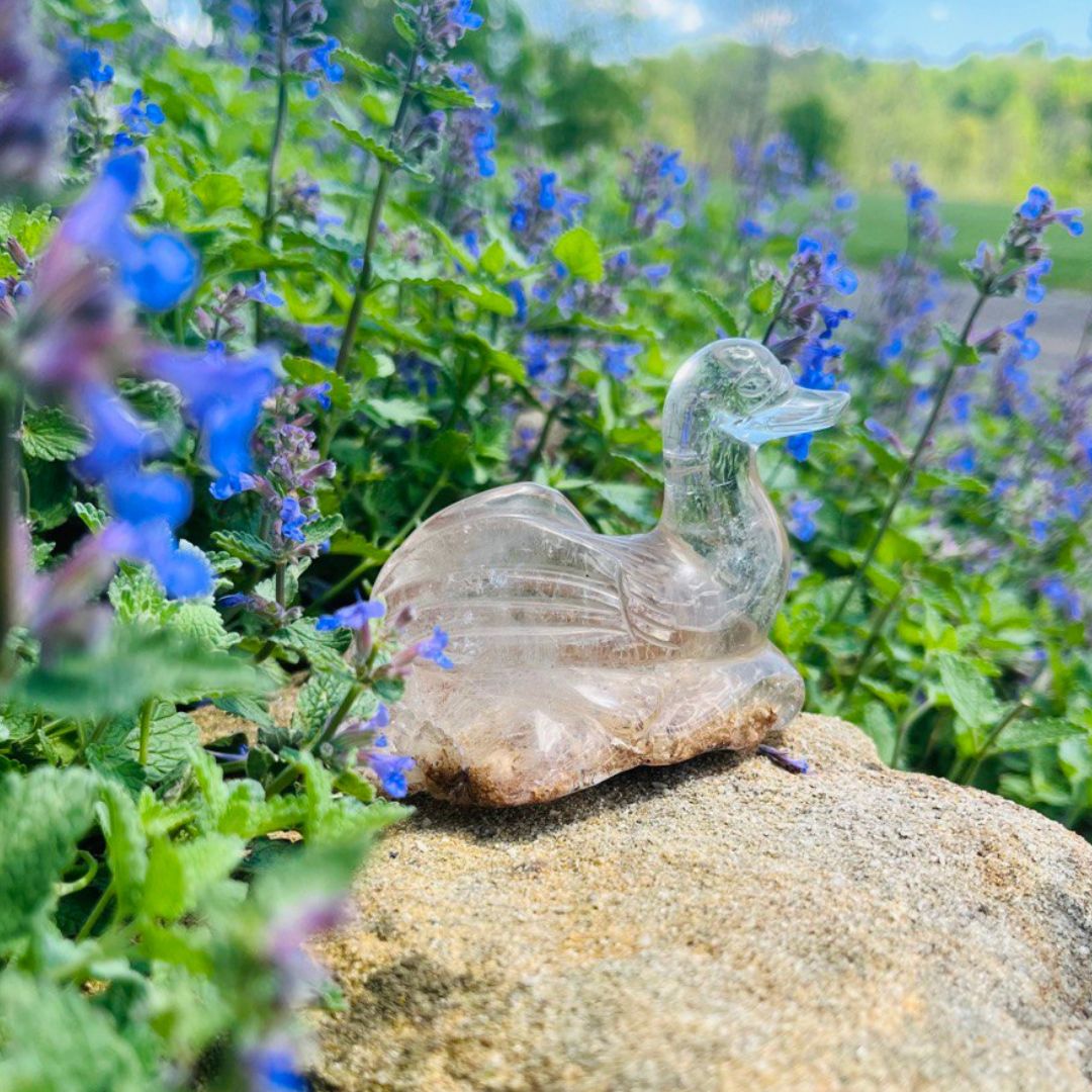 One of a Kind Golden Rutile and Garden Quartz Swan Carving from Brazil~ Tranquil, Serene and Peaceful Energies