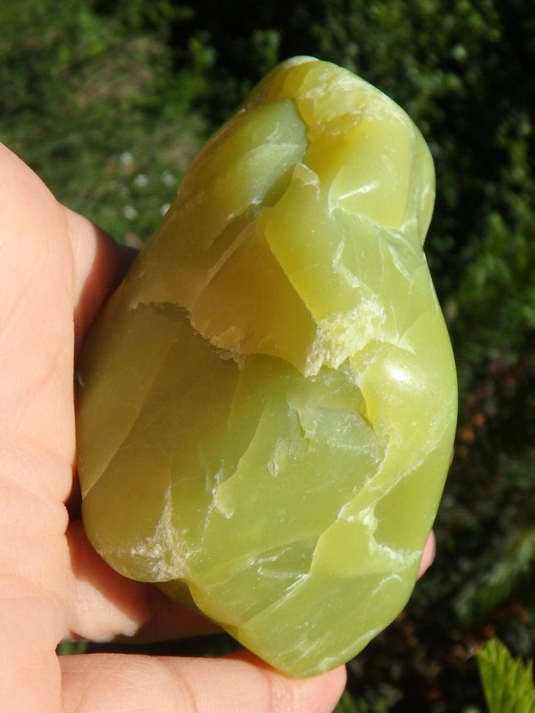 Smooth & Natural Large HEALERITE HANDHELD SPECIMEN - Earth Family Crystals