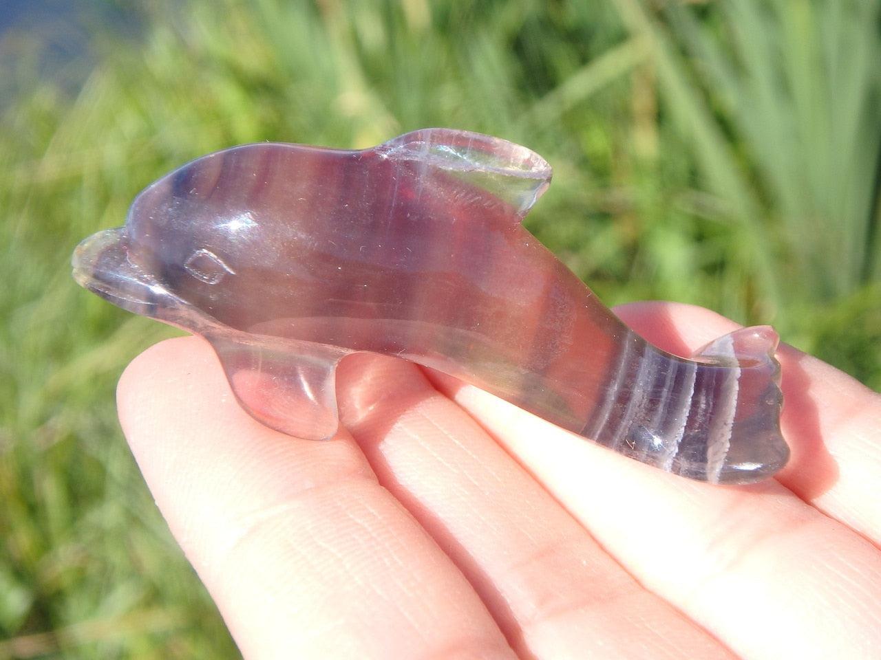 gemstone dolphins