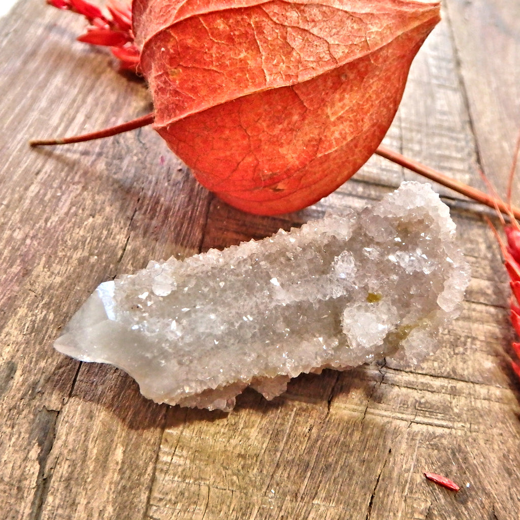 Sparkly White Spirit Quartz Point With Citrine Inclusions - Earth Family Crystals