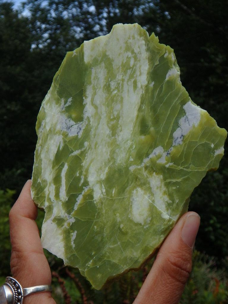 green landscape rocks