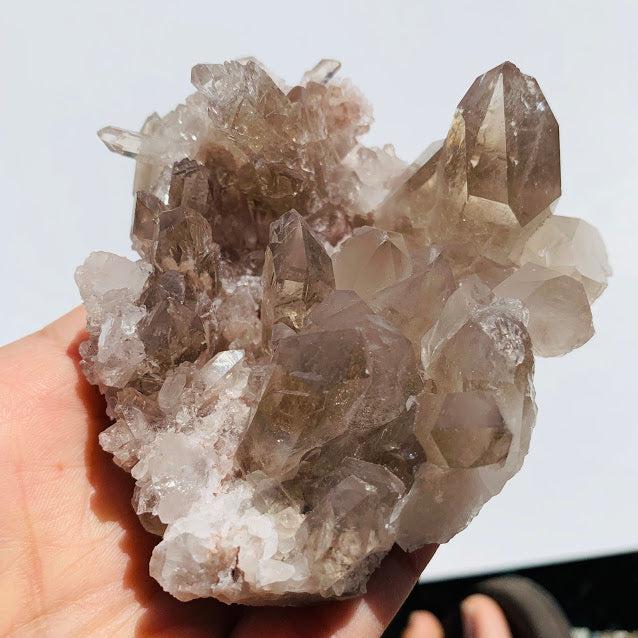 Incredible Rutilated Smoky Quartz Large Druzy Cluster From Brazil