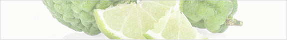 bergamot-ingredient-note