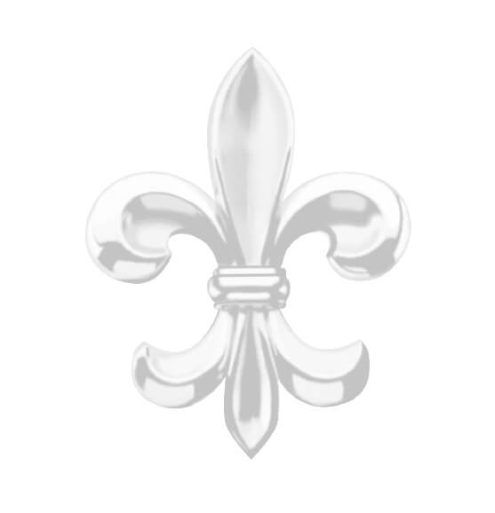 fleur de lis