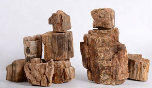 Petrified Wood Stone 40LB Assorted sizes