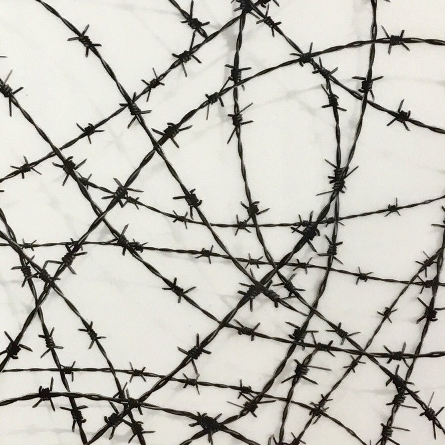 MINI BARBWIRE FENCE HYDROGRAPHIC FILM – Dip Pros