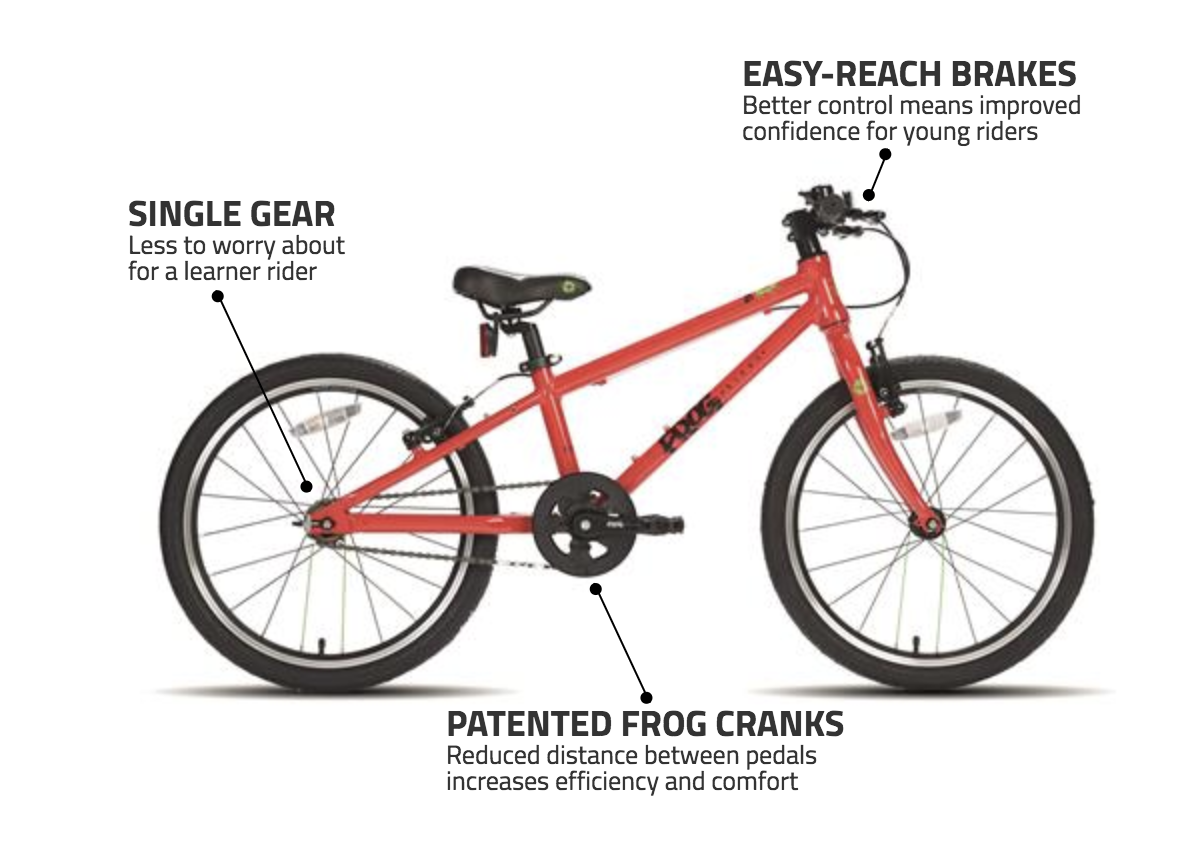 frog gearless cycle