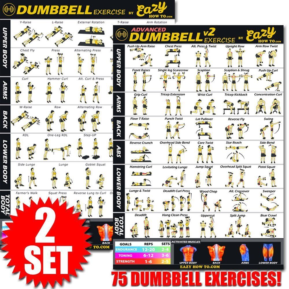 big dumbbell set