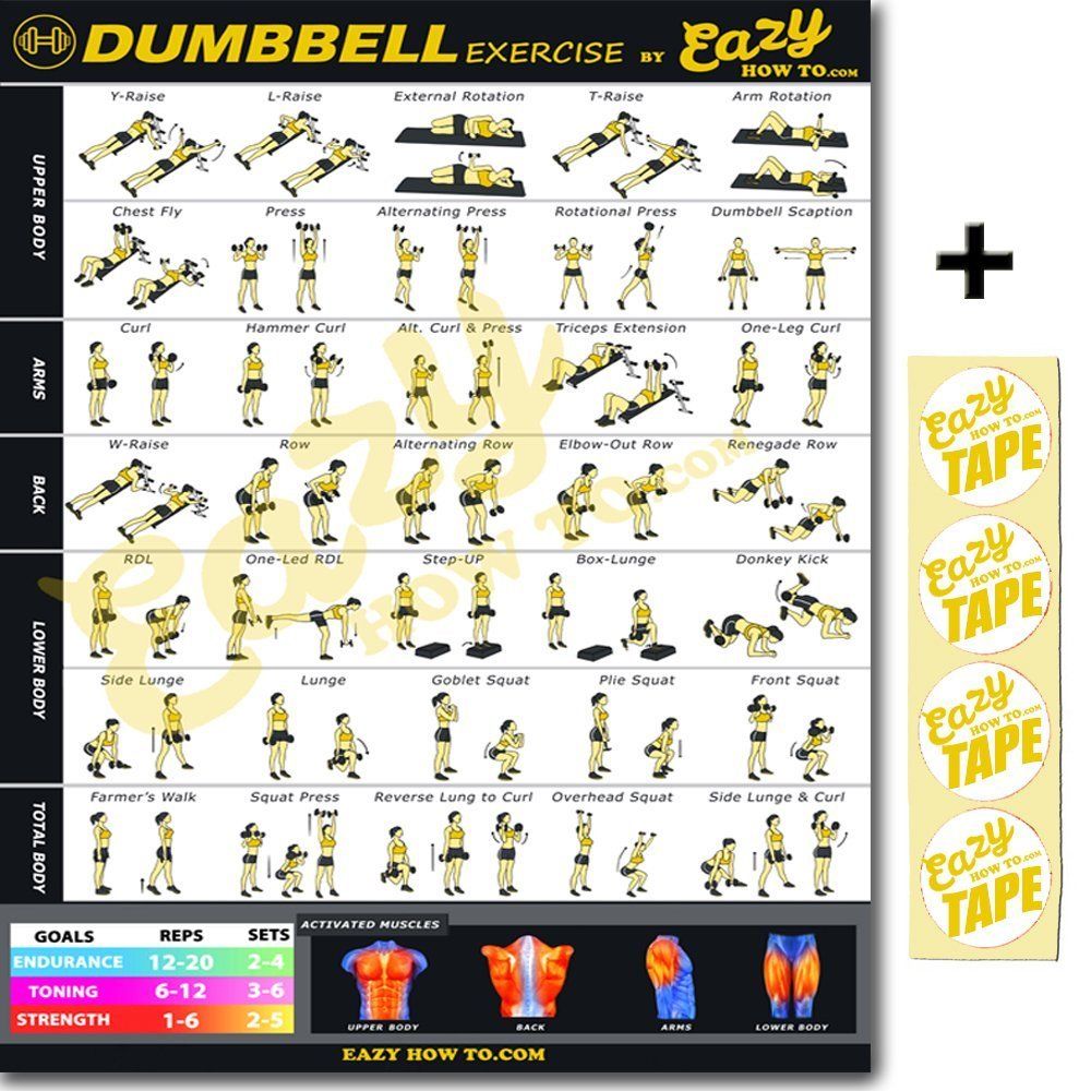 dumbbell set exercise