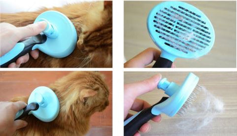 Pet Grooming Hair Removal Brush