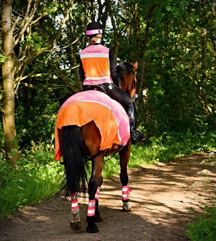 Equisafety hi vis summer mesh fly sheet