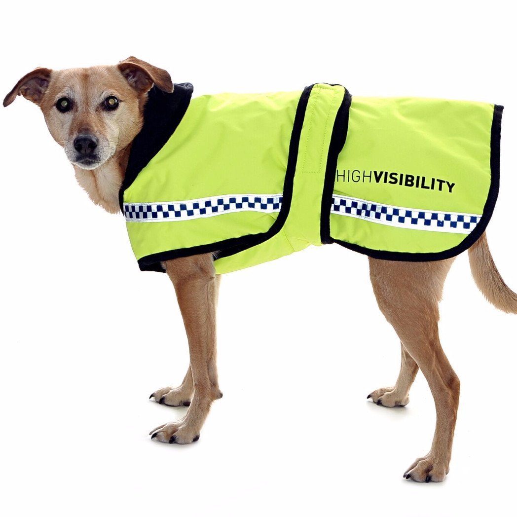 Hi-Vis Reflective Do Not Pet Service Dog Patches for Harness & Collar, Hi-Vis Orange / Large (6.3 x 1.97)