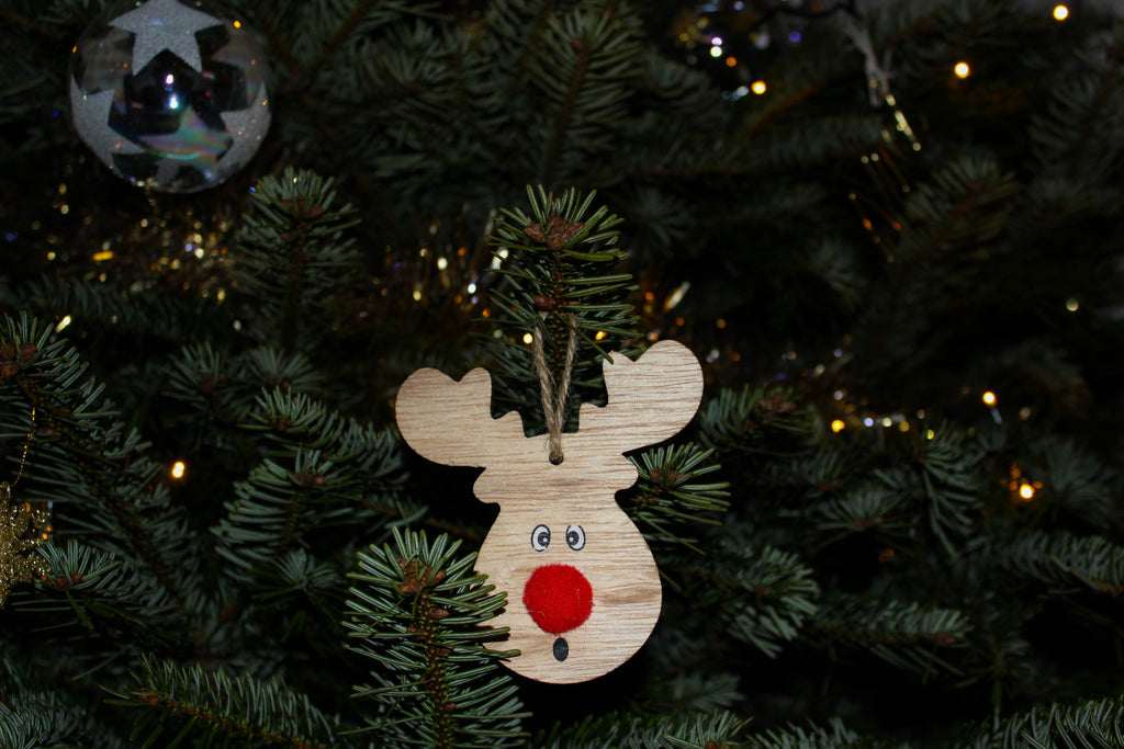 how-to-grow-your-own-christmas-tree-tentree