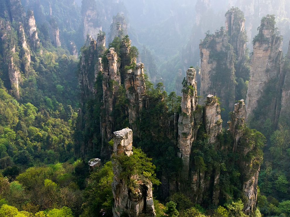 china forest ireland planting almost tentree international national zhangjiajie january