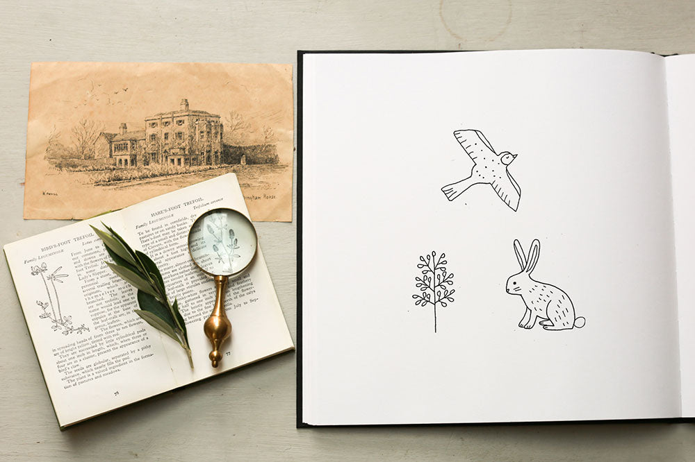 Woodland animals illustrations, bird and rabbit