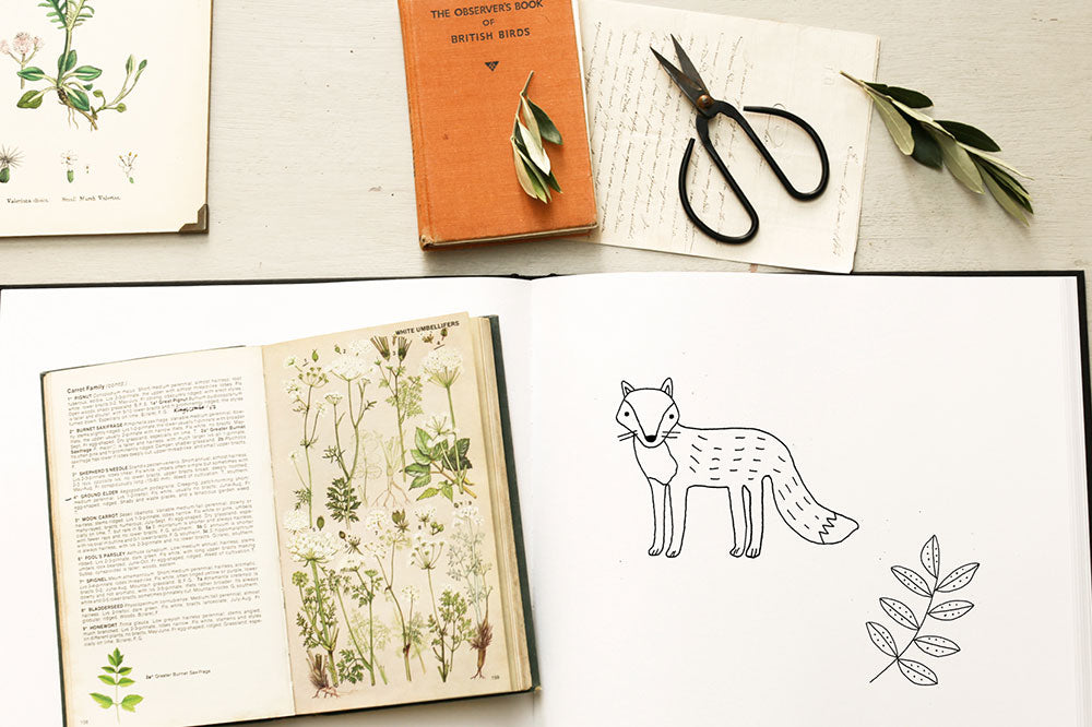 Woodland animals fox illustration