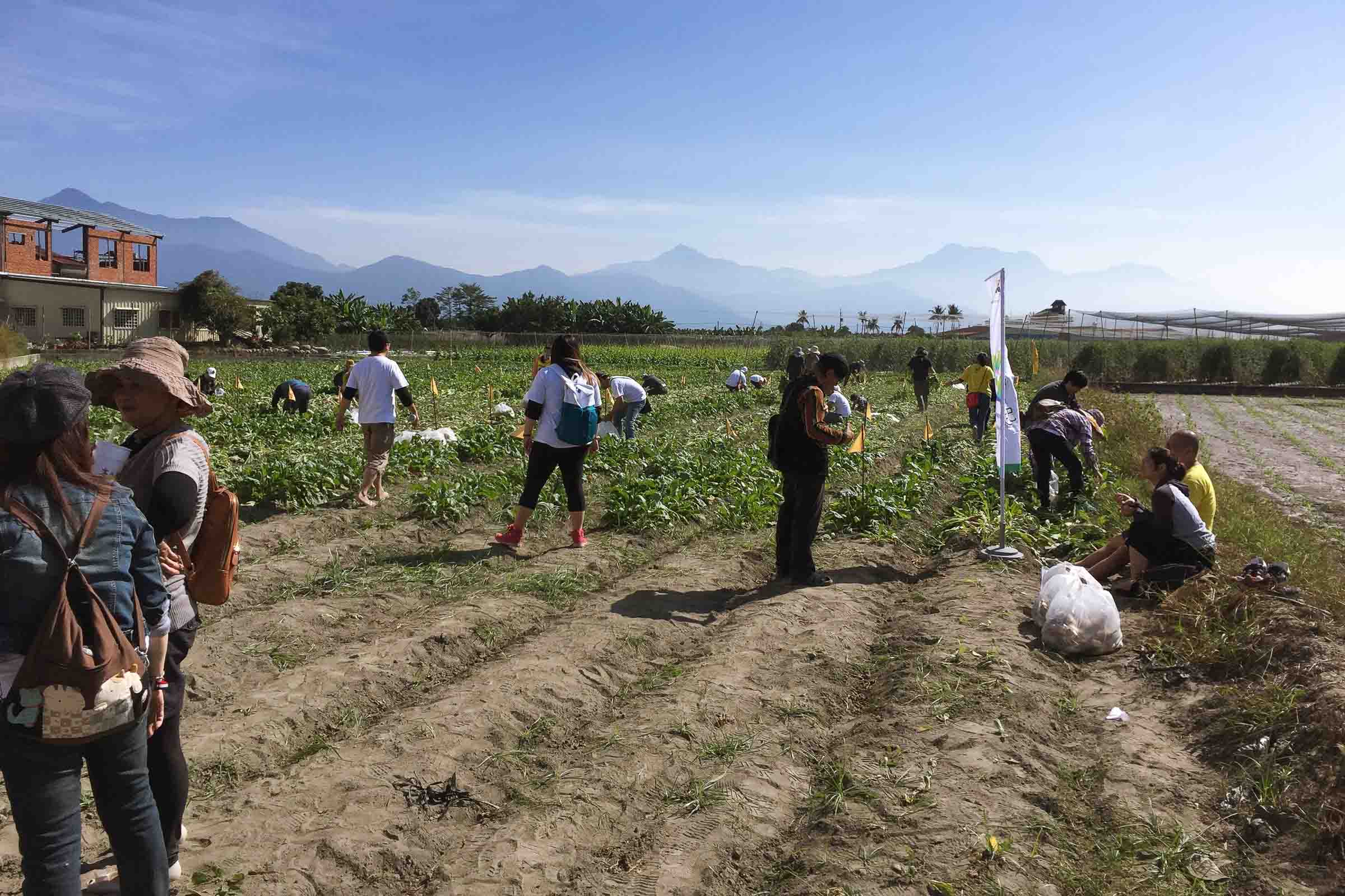 Bumbleride Factory Owners Farming