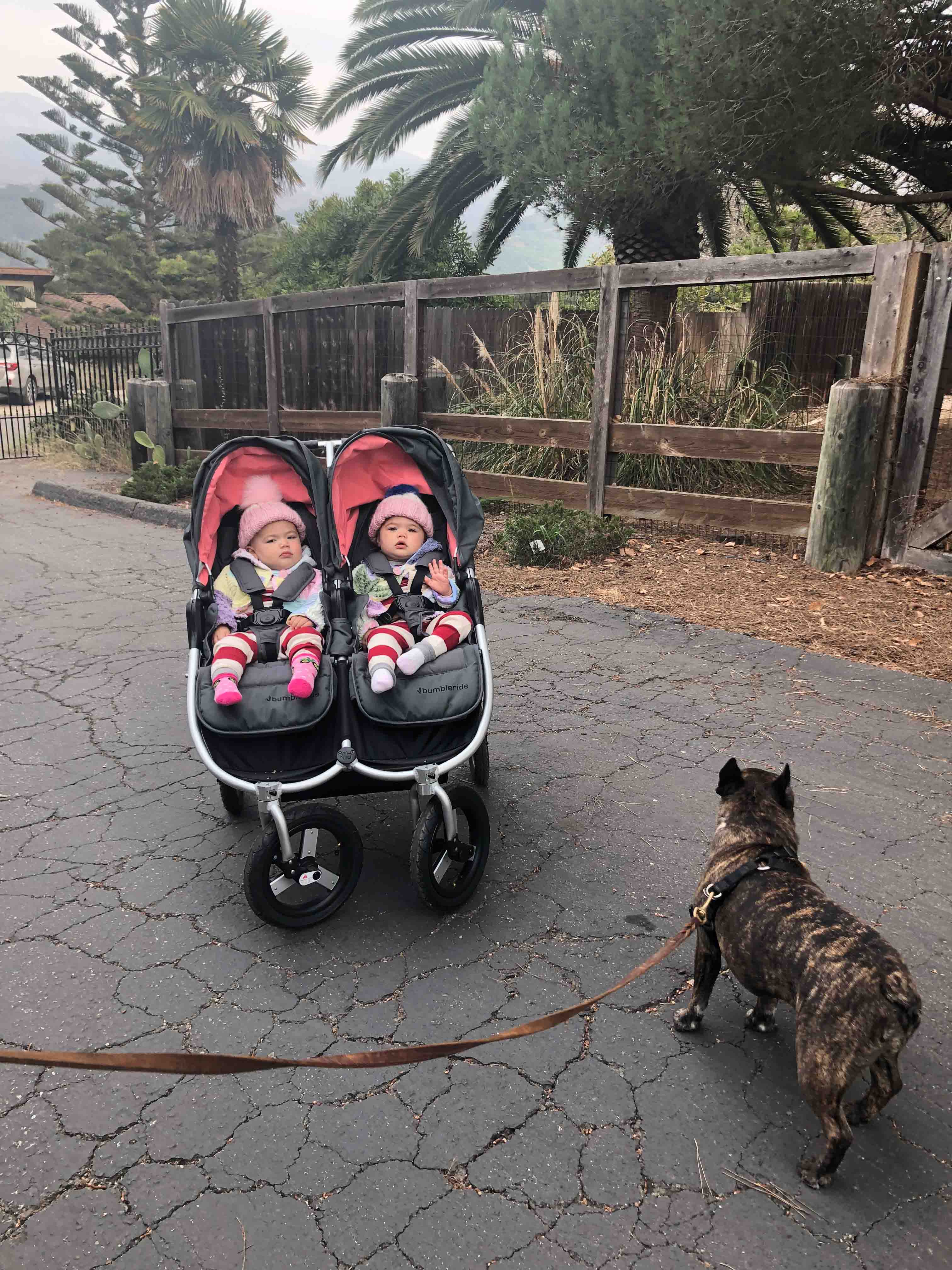 Bumbleride Indie Twin with twins and dog walk - Dane and Courtney Reynolds