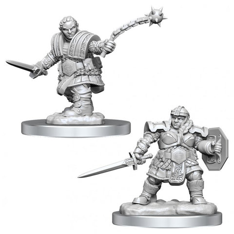 D&D Frameworks: Human Fighter Female - Unpainted and Unassembled – WizKids