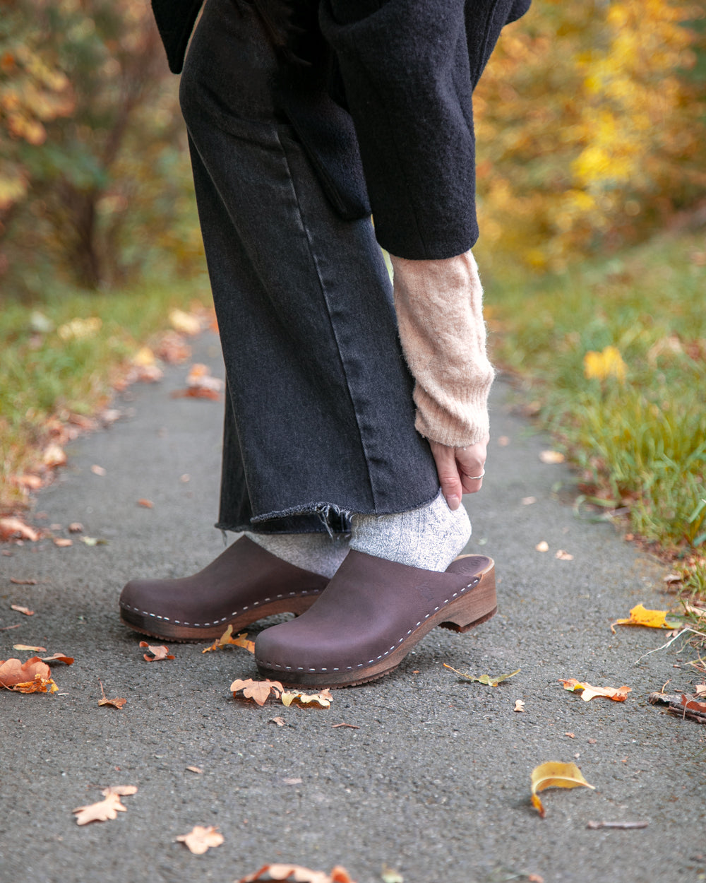 Horsehair Shoe Brush - Sandgrens Clogs