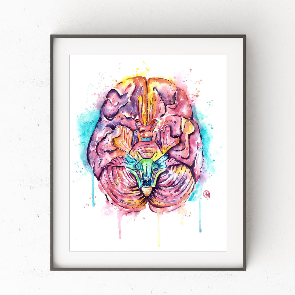 Anatomy Art - Human Brain Painting by Lisa Whitehouse - Whitehouse Art