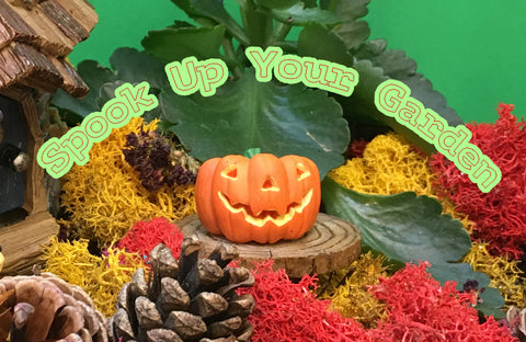 Spook up your garden