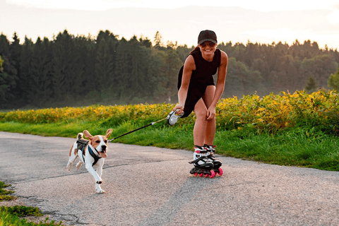 Los perros y el deporte: todo lo que necesitas saber