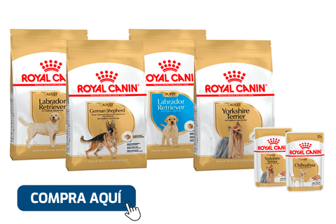 Royal Canin 