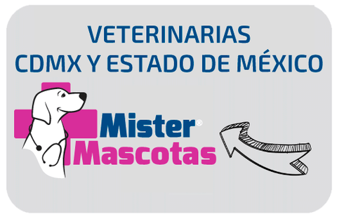 veterinaria mister mascotas