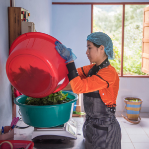 Weighing leaves